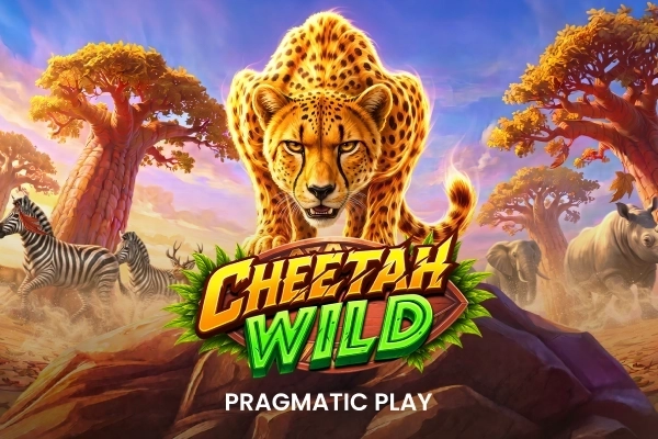 Cheetah Wild demo