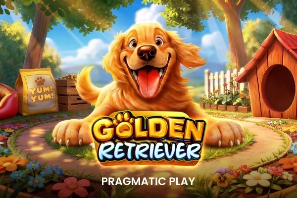Golden Retriever demo